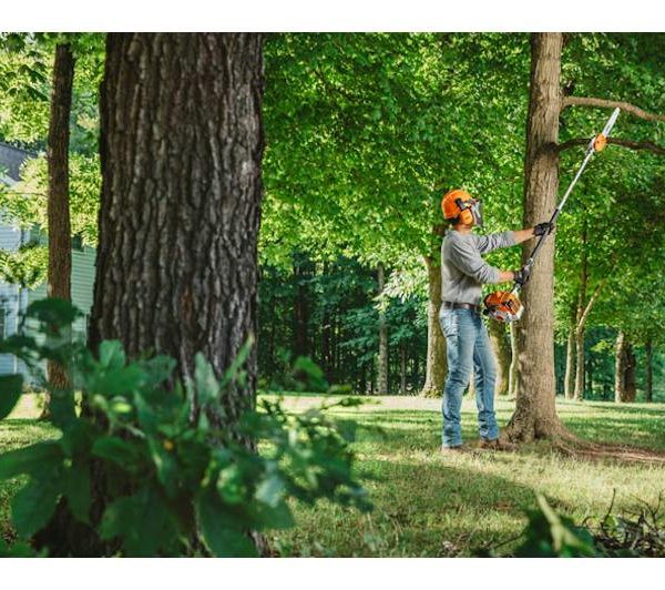 STIHL HT 250 - Max's Power & Lawn