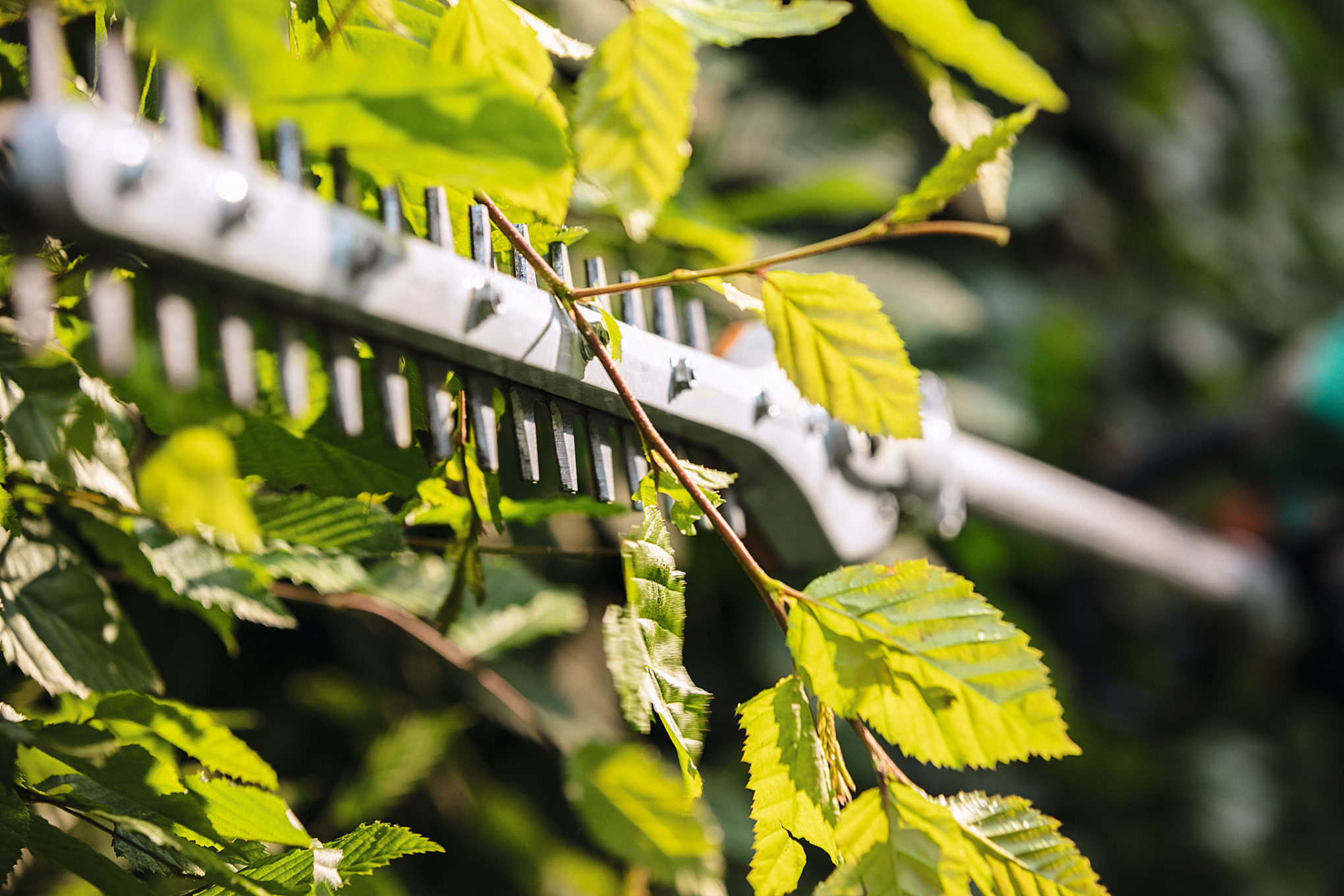 STIHL KM 131 Gasoline KombiSystem