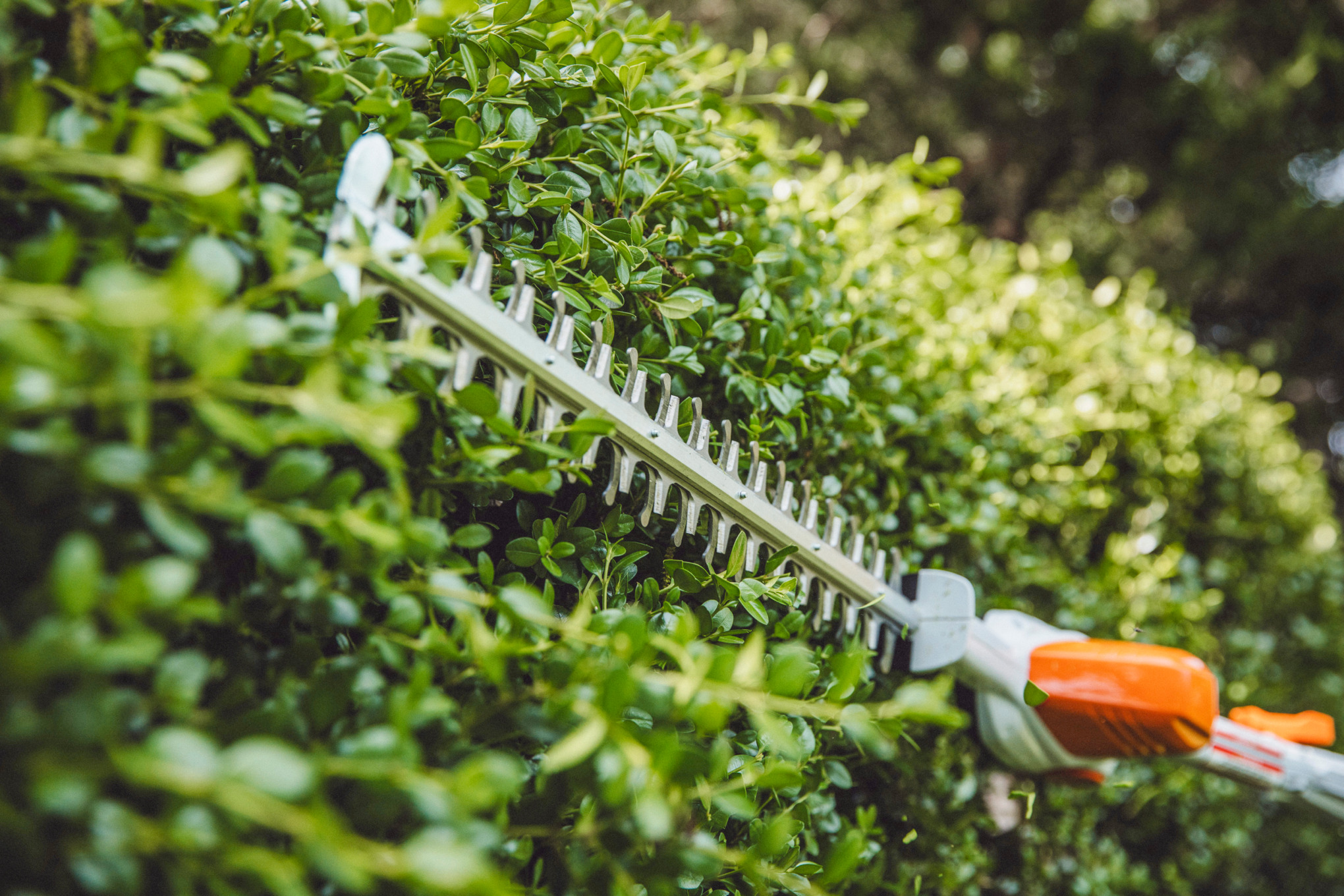 STIHL HLA 56 Battery Powered extended-reach Hedge Trimmer